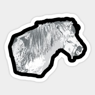 pony Sticker